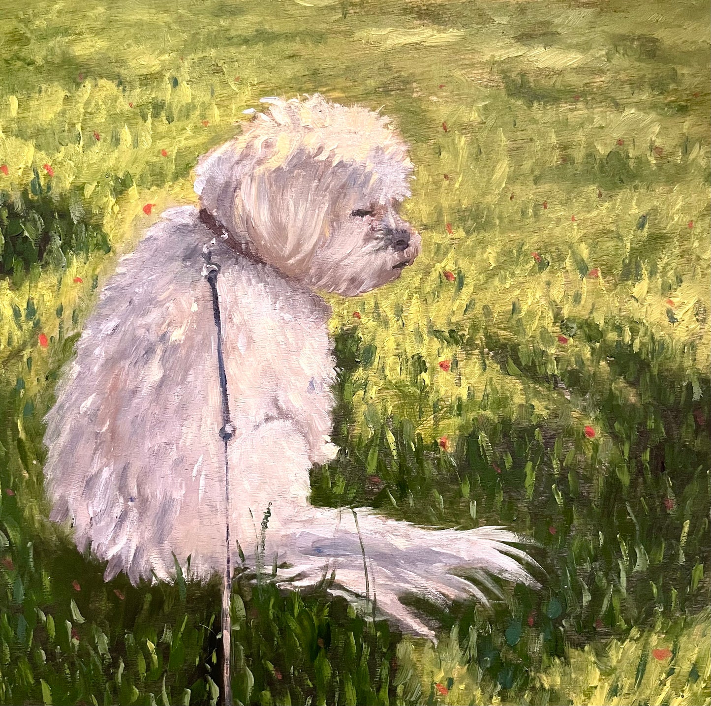 Lulu