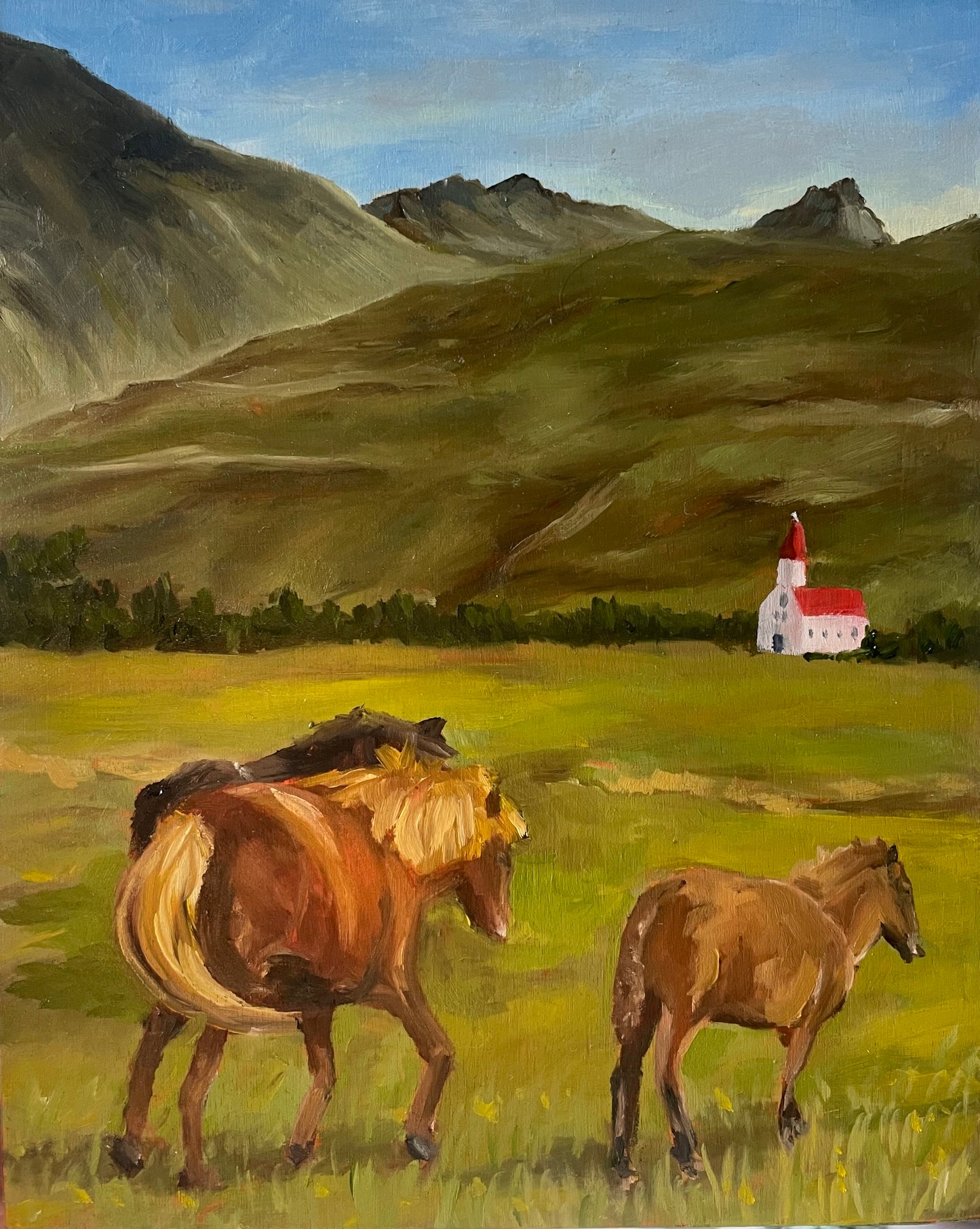 Iceland Horses