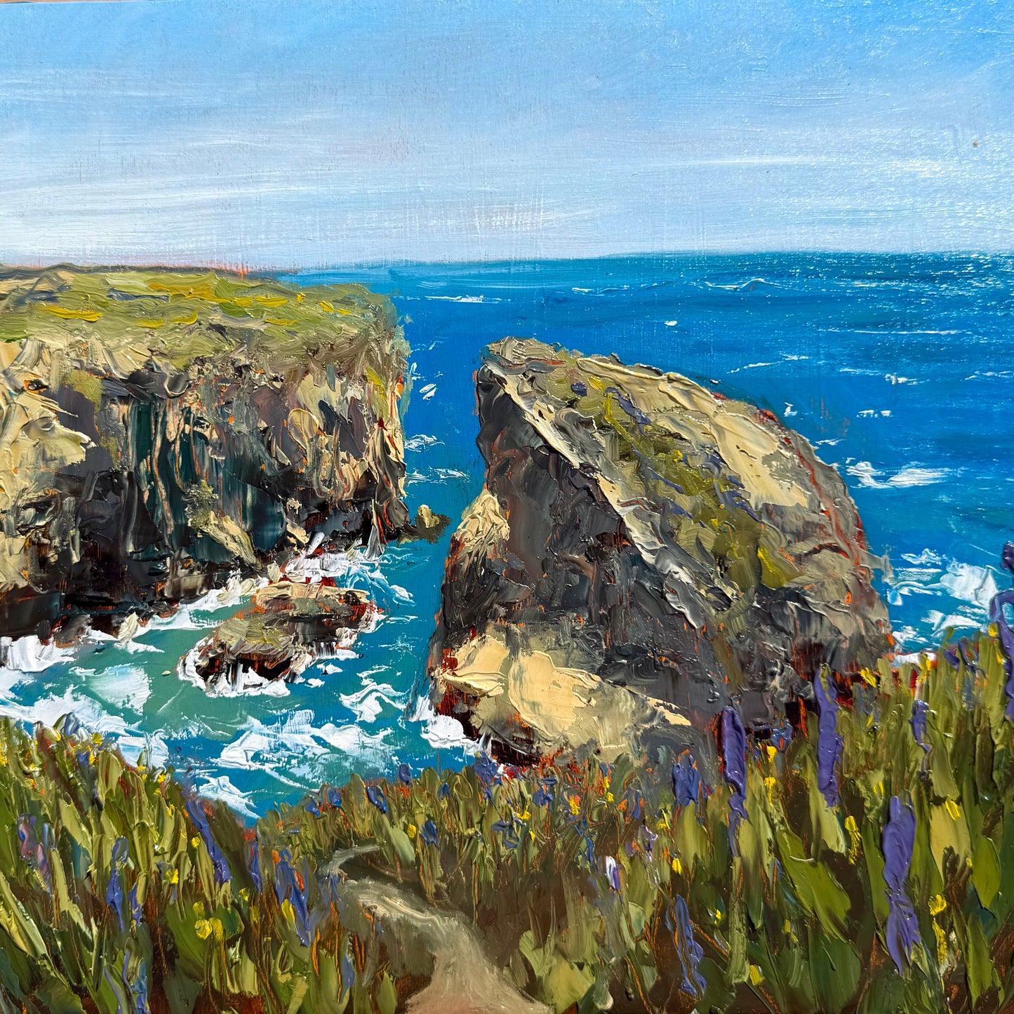 Shark Fin Cove