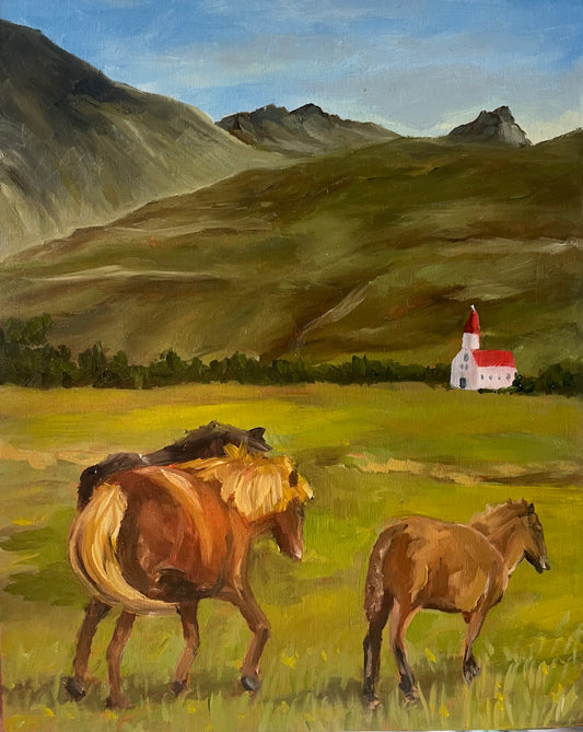 Iceland Horses