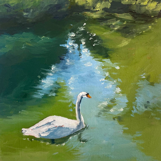 Swan at the Palace of Fine Arts