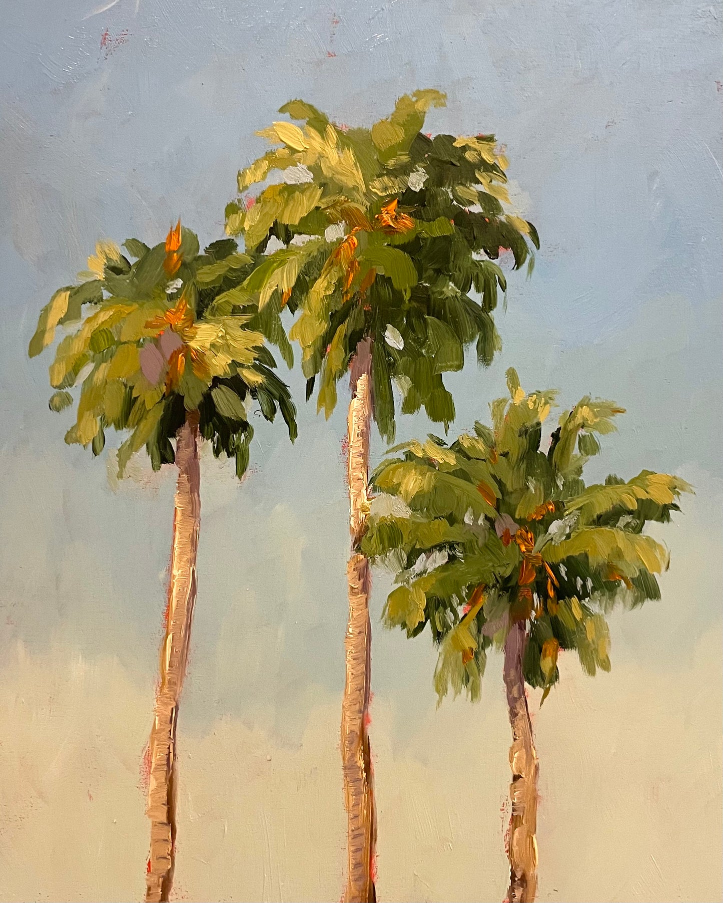 Florida Palms