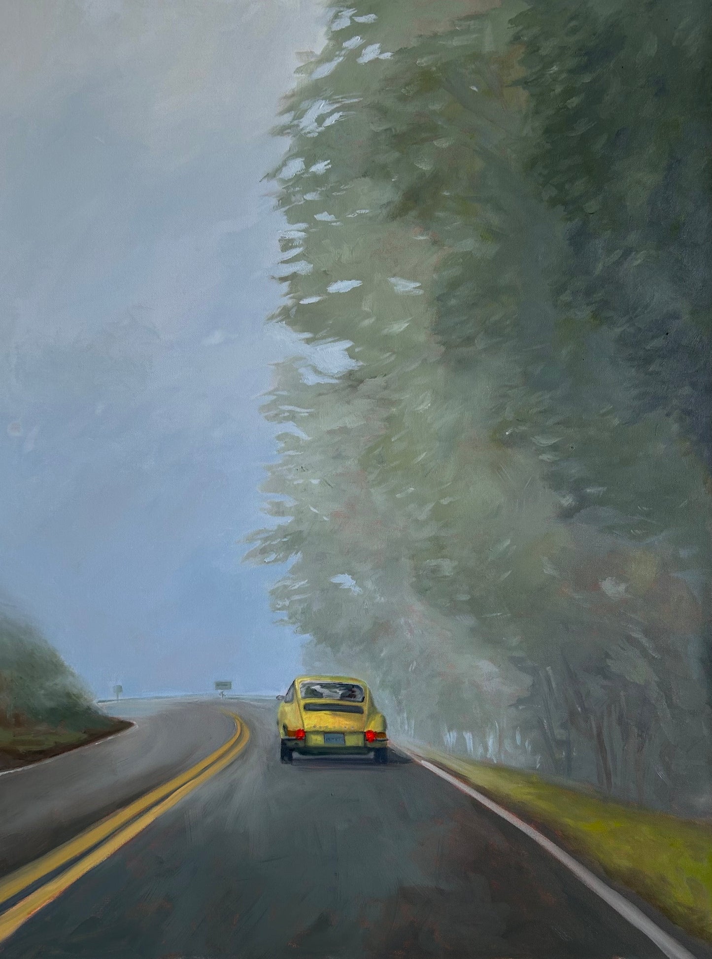 Into the Fog
