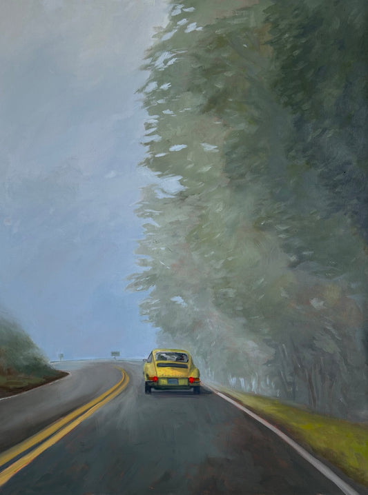 Into the Fog