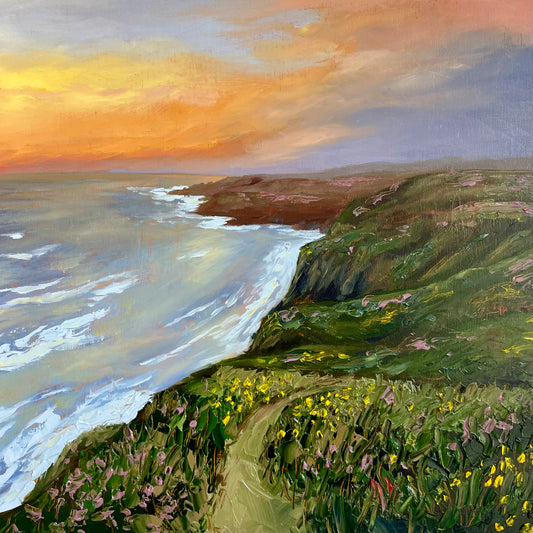 Mendocino Cliffs