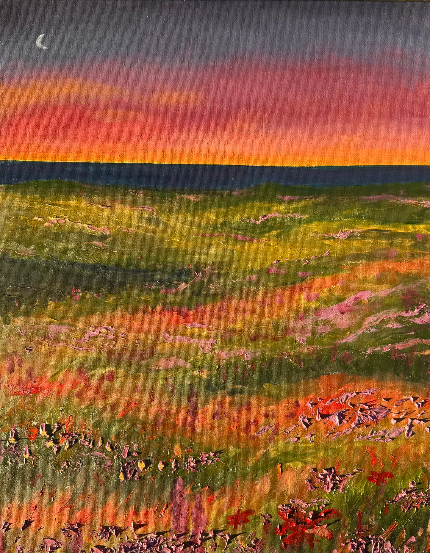 Night Meadow