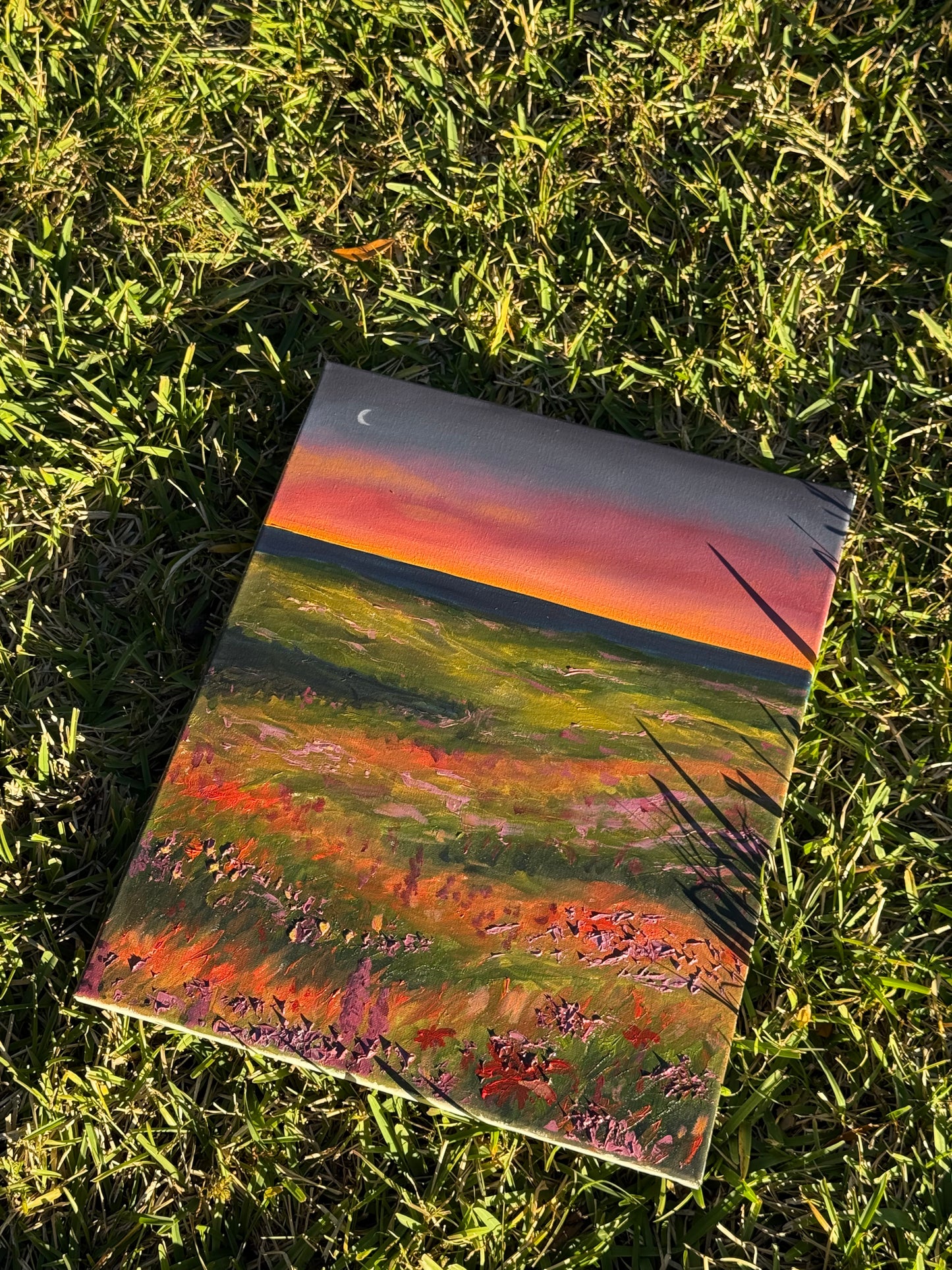 Night Meadow